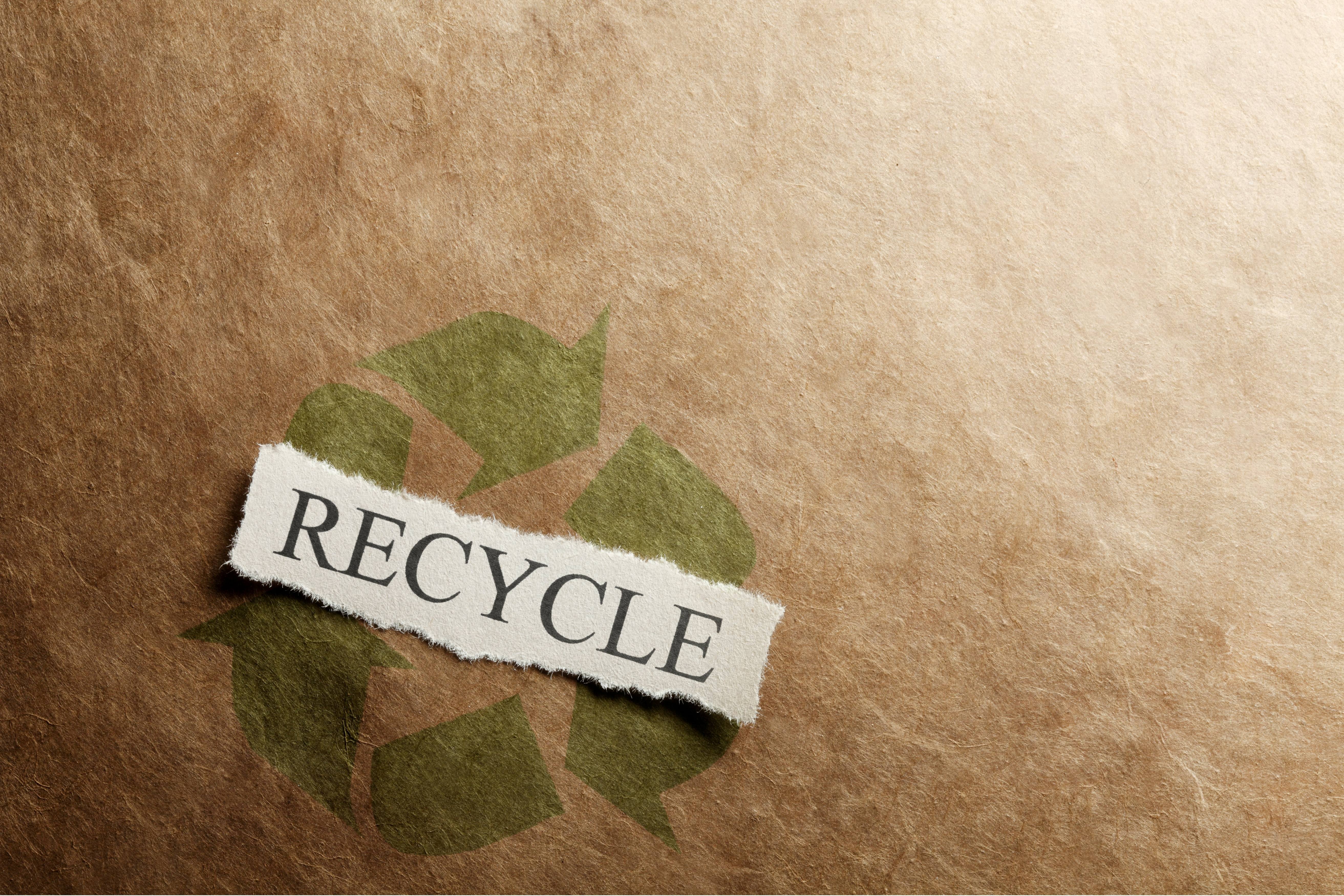 Every Tree Counts – Yorrack