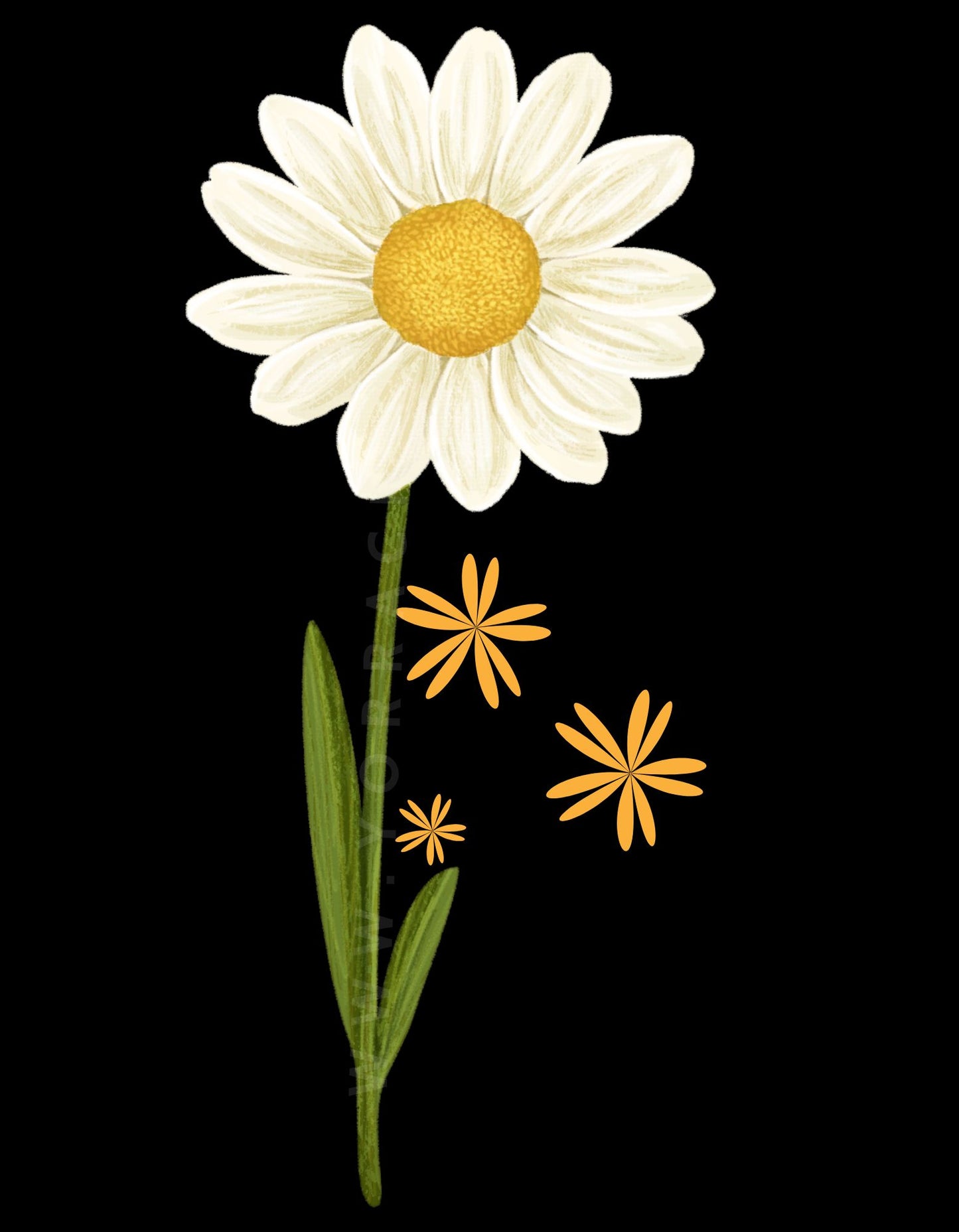 Spring | Front Flex | Standard Oversized Tee | YR-SND-FFD56